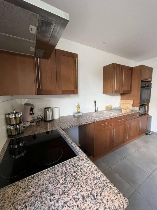 La Maison Dardenne Villeneuve-sur-Lot Kültér fotó
